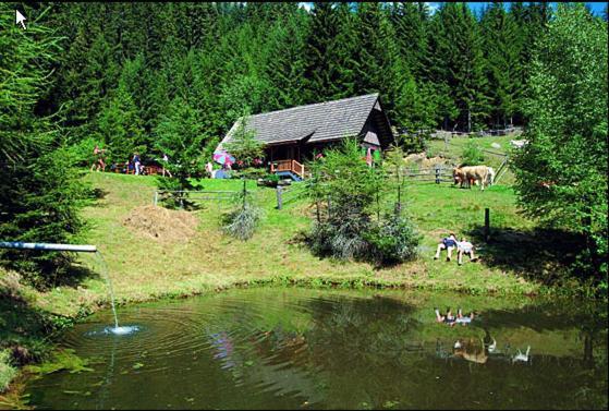 Eberstein Panoramadorf Saualpe酒店 外观 照片